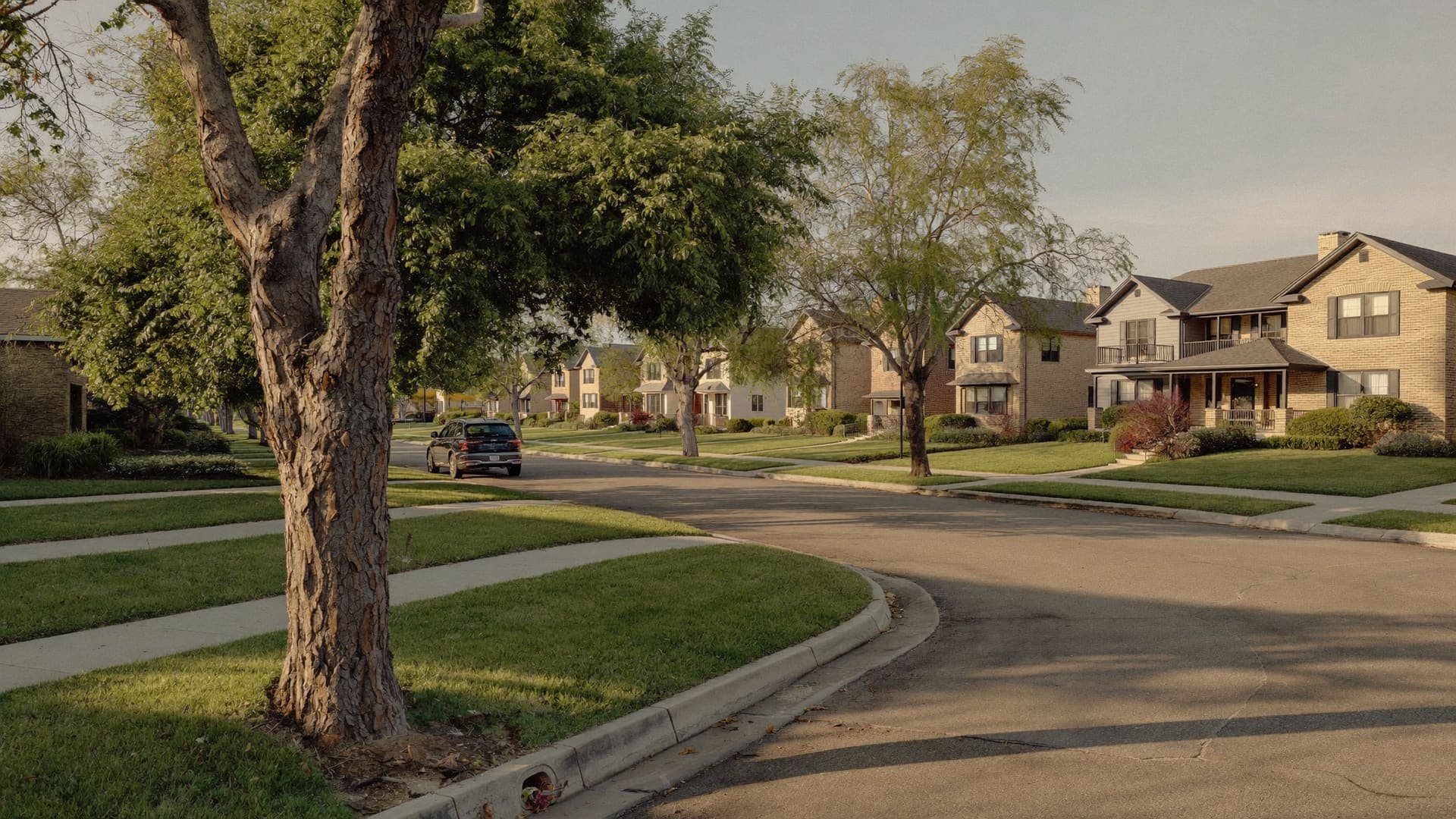 Tree-lined suburban neighborhood street in North Texas